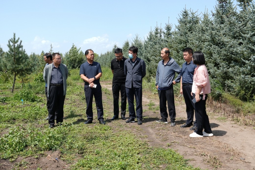 强强联合启新程 林下药材赋新能——承德市农林科学院与丰宁千松坝林场达成战略合作