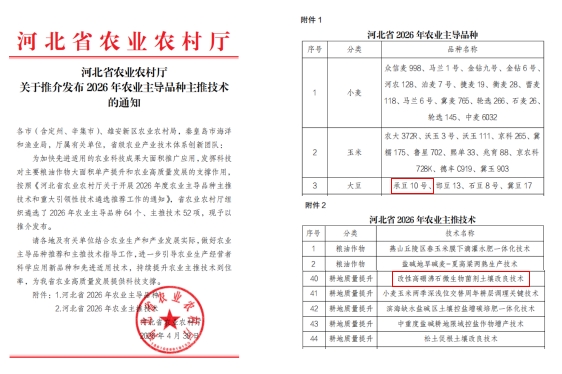 农作物研究所新品种、新技术列为河北省2026年农业主导品种主推技术